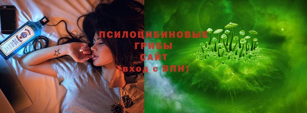 стаф Лабытнанги