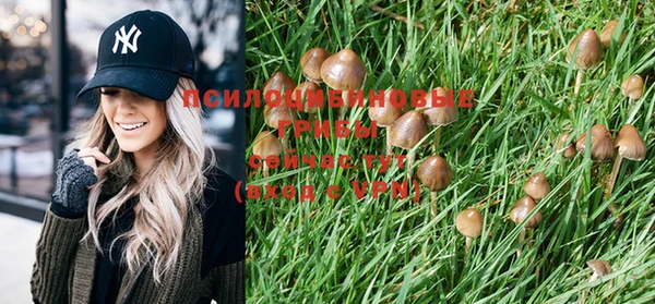 PSILOCYBIN Лагань