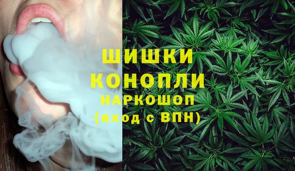 PSILOCYBIN Лагань
