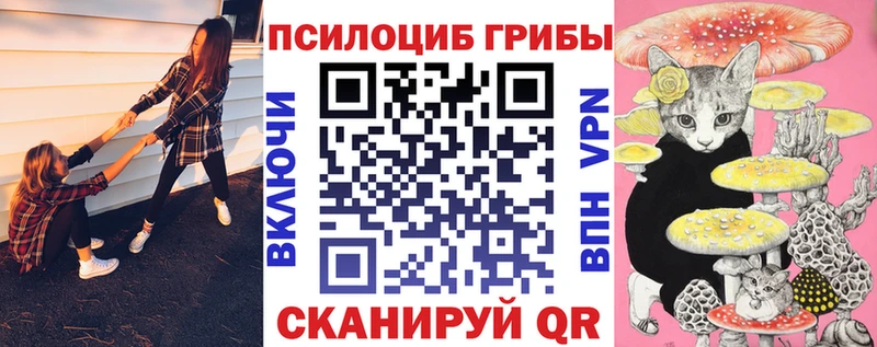 закладки  Нововоронеж  MEGA сайт  Псилоцибиновые грибы Cubensis 