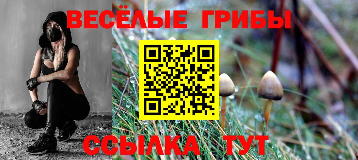 купить закладку  Галлюциногенные грибы Psilocybine cubensis  Вход с VPN  Нововоронеж 