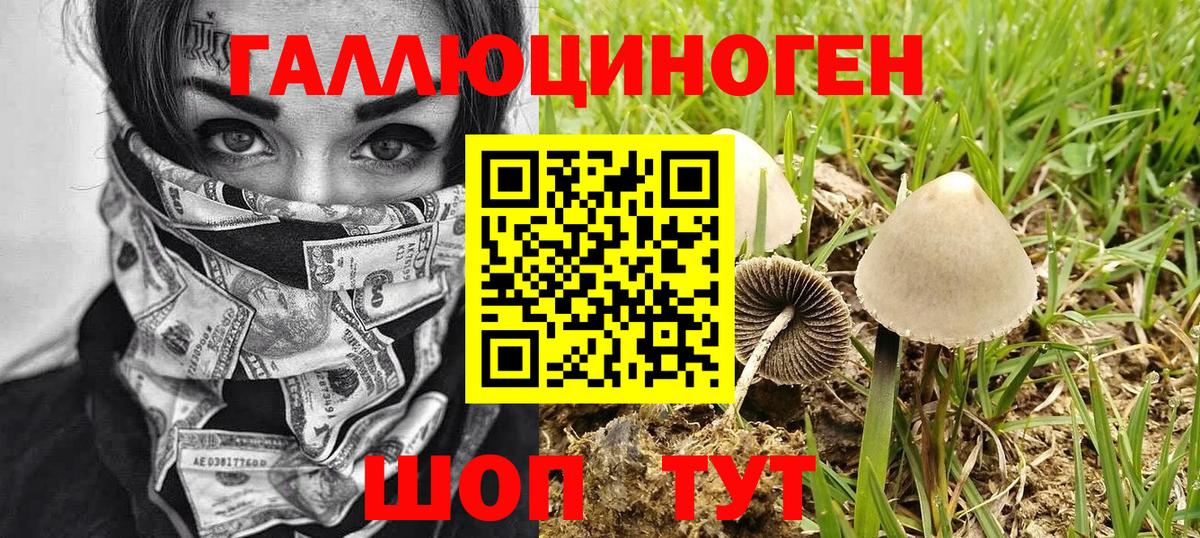 Галлюциногенные грибы MAGIC MUSHROOMS  Нововоронеж 