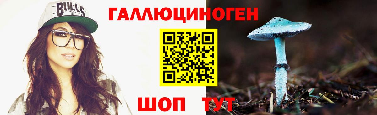 Галлюциногенные грибы Psilocybine cubensis Нововоронеж