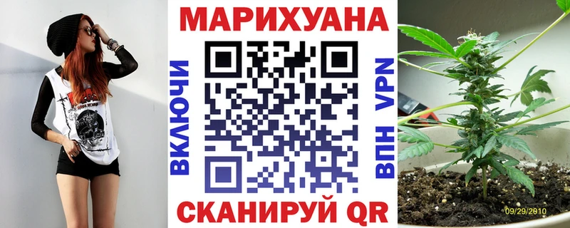 Каннабис план  Нововоронеж 